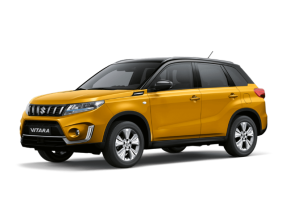 Suzuki Vitara at Breeze Poole