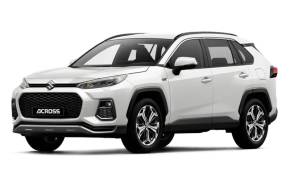 SUZUKI ACROSS ESTATE at Breeze Poole